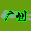 广州报告